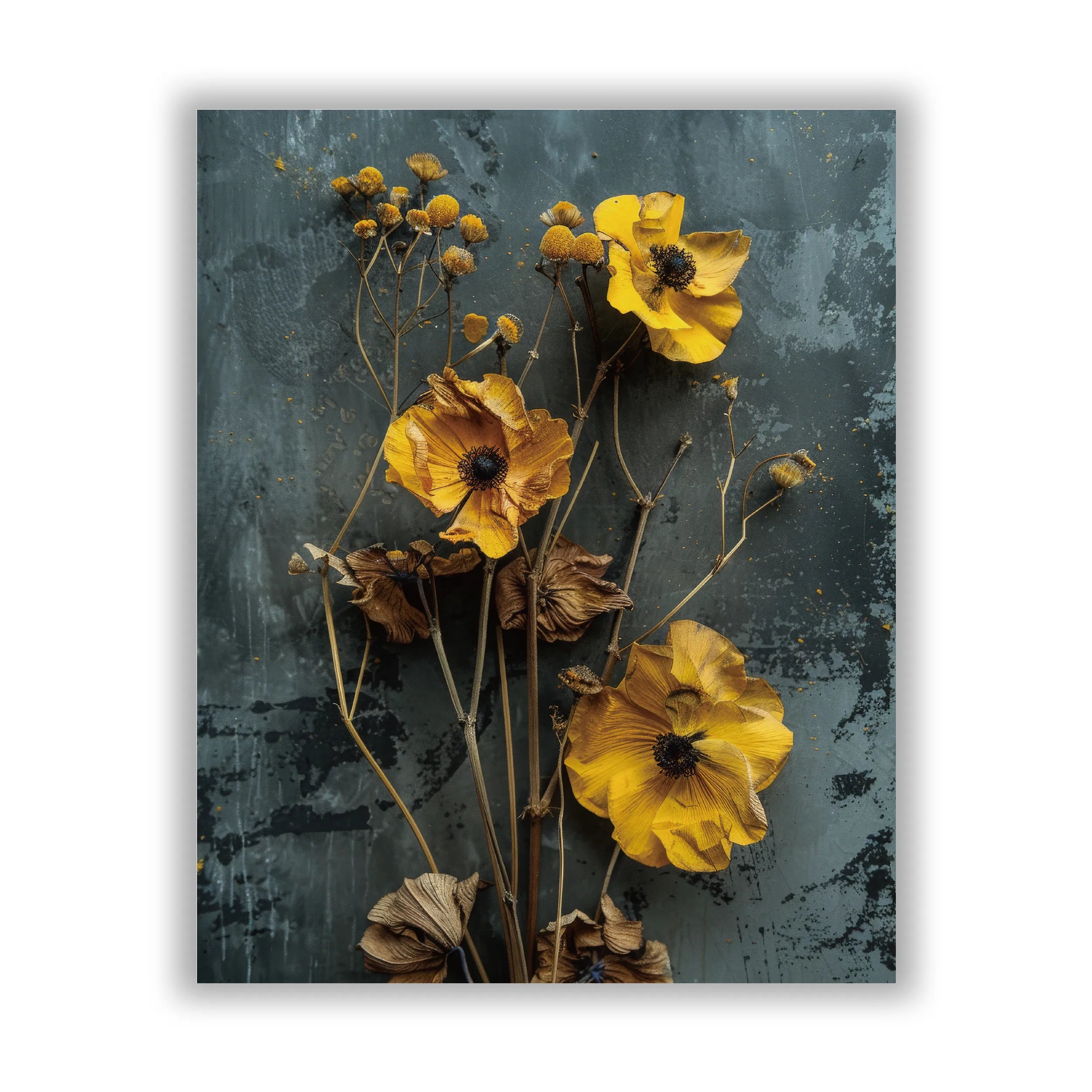 Dried autumn flowers