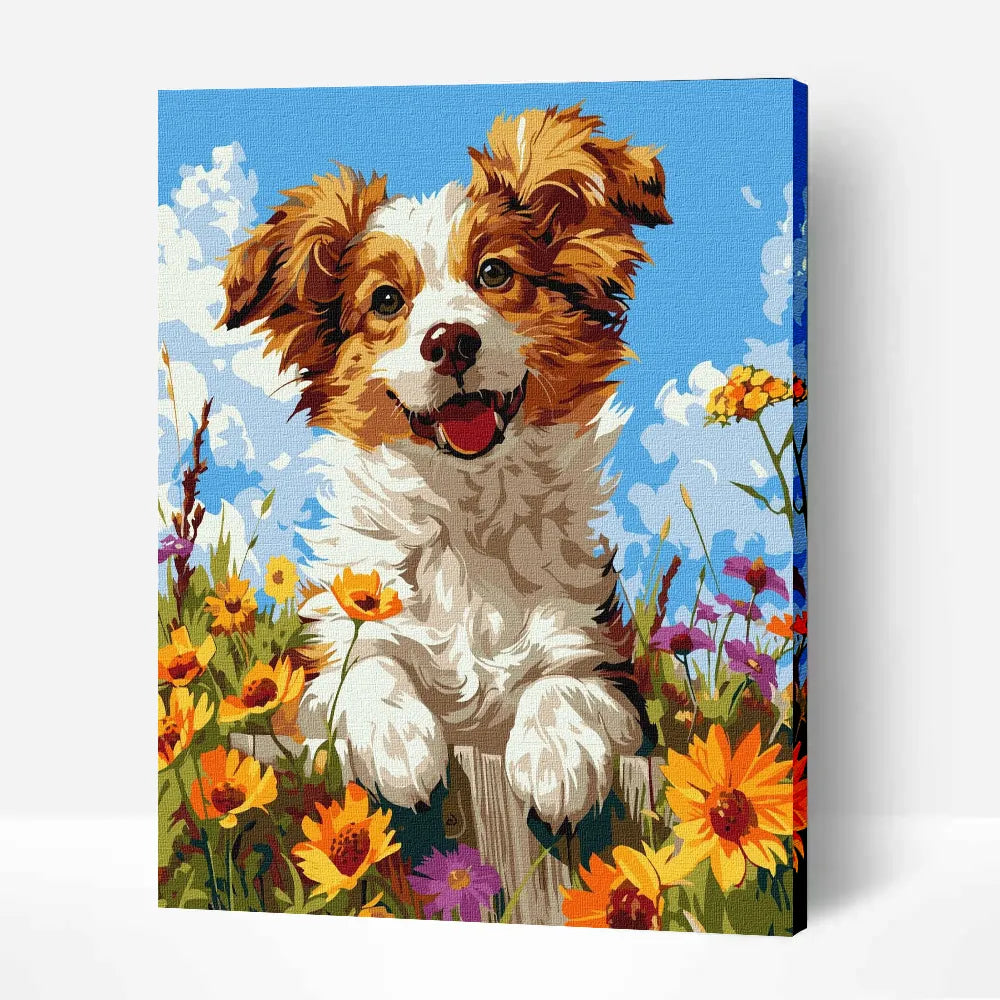 Animal paint by numbers collection