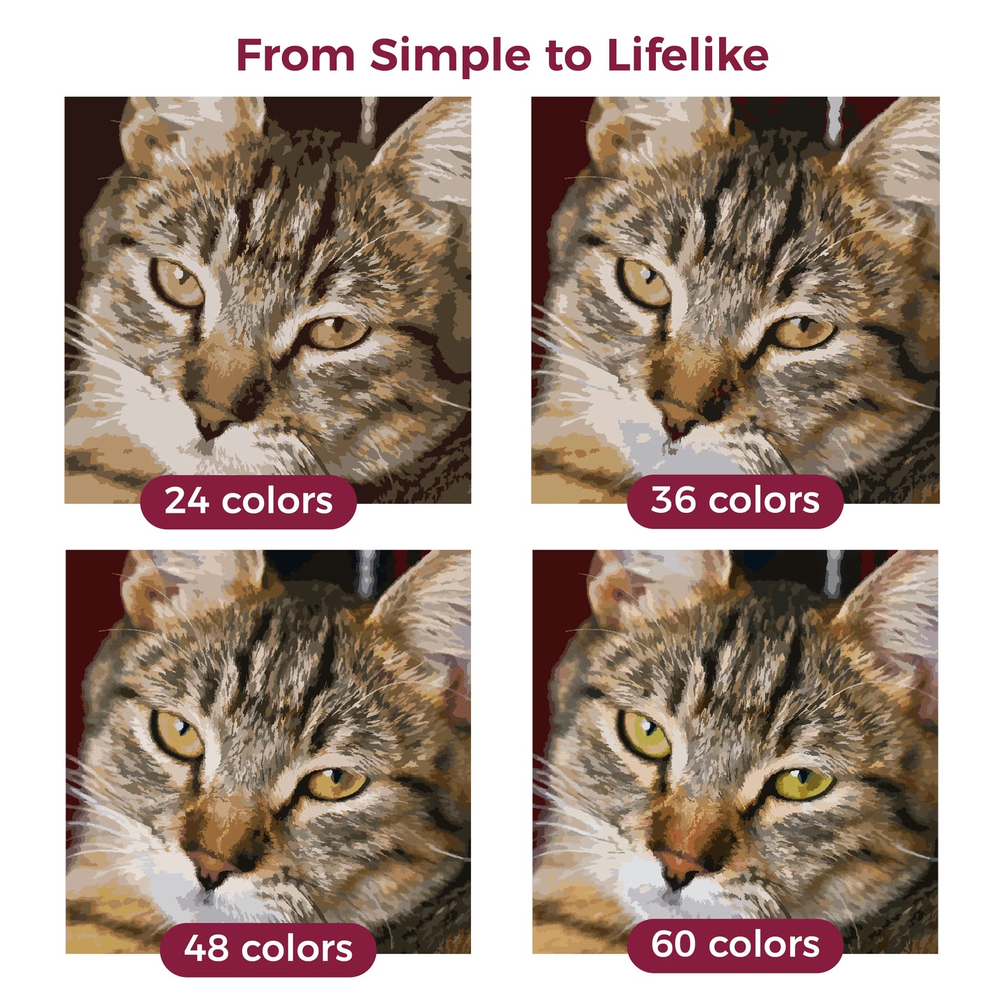 Individuelles Malen nach Zahlen für Ihr Haustier – ein zeitloses Geschenk für Ihren pelzigen Freund