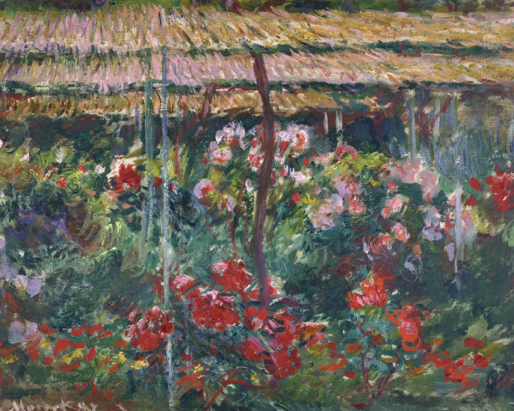 Peony Garden Paint Numbers