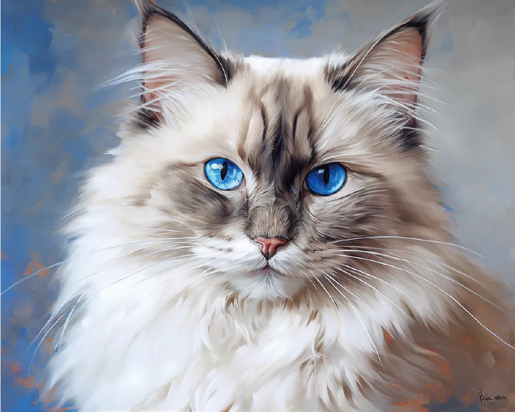 Ragdoll paint by numbers