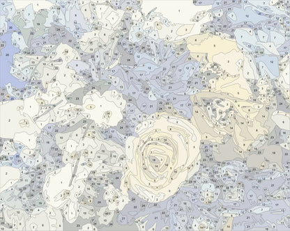 Close Up Yellow Roses