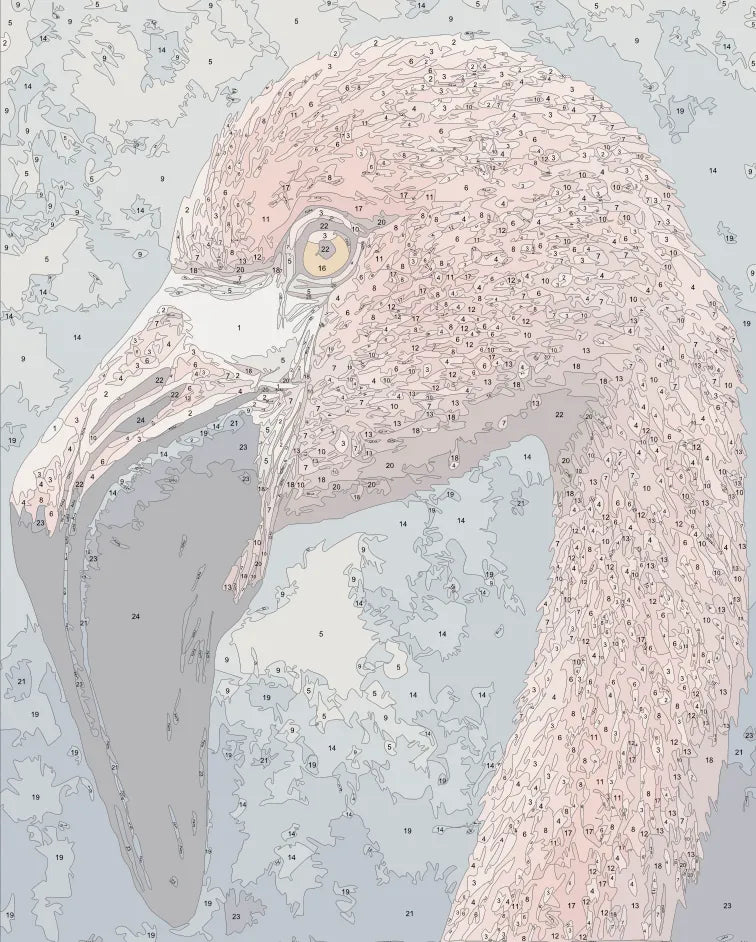 closeup-flamingo