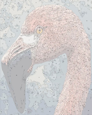 closeup-flamingo