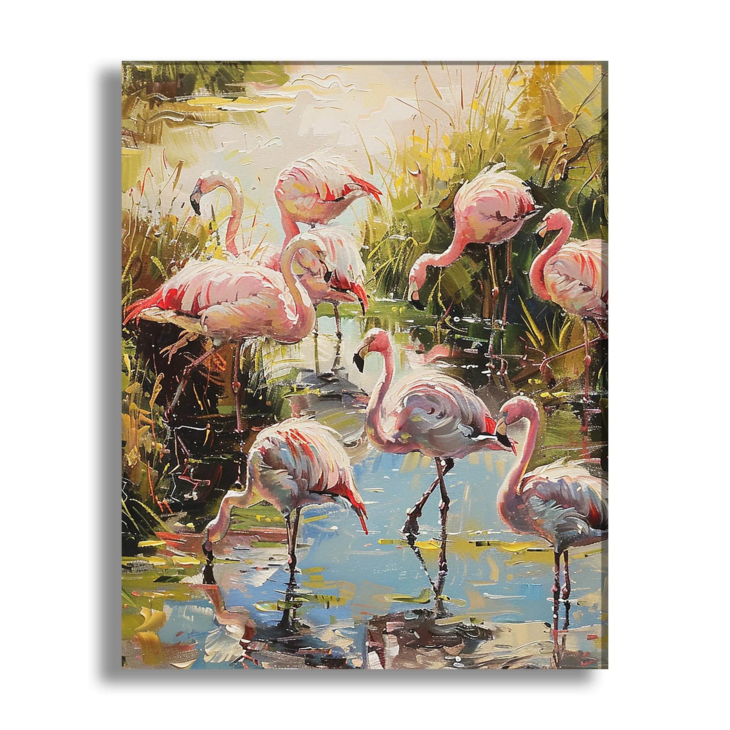 flamingos-in-water