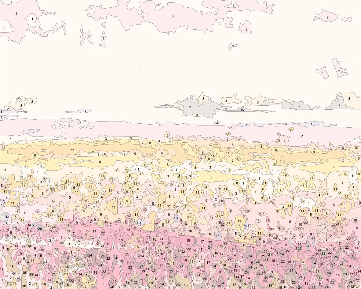 Fields Colorful Flowers