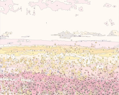 Fields Colorful Flowers