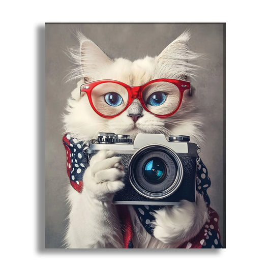 Camera Cat