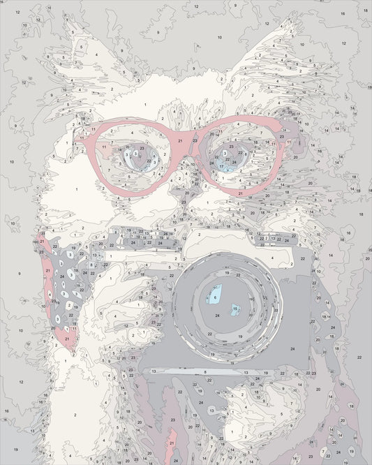 Camera Cat