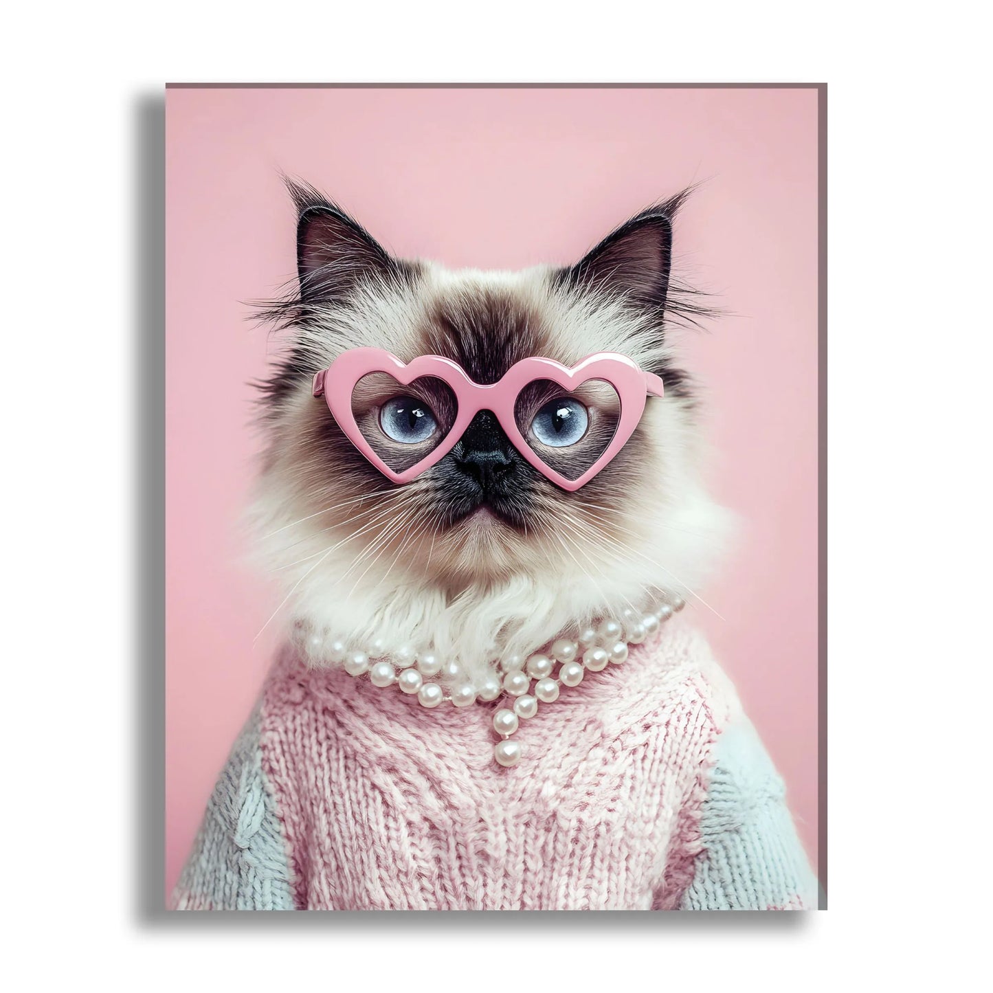The Diva Cat
