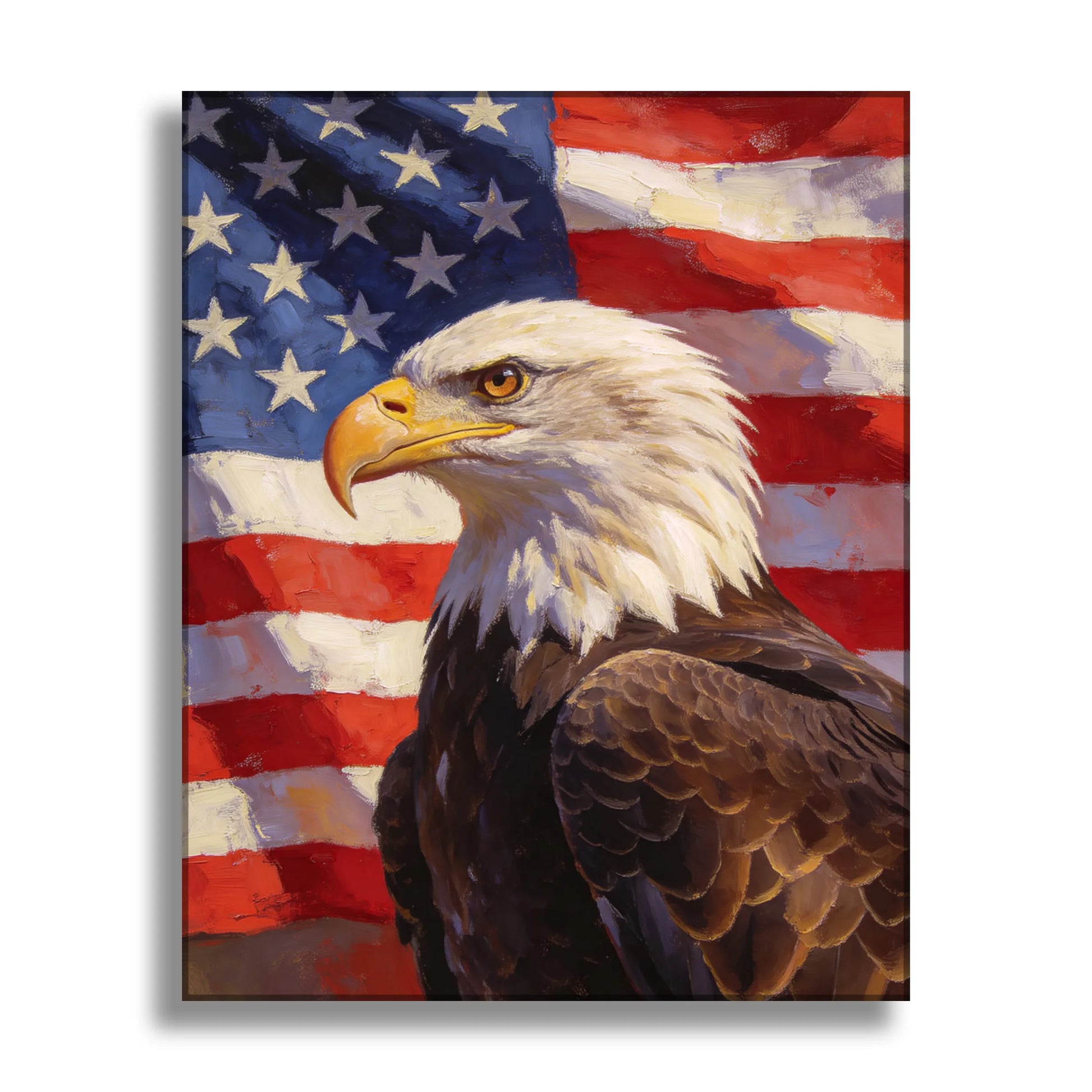 Guardian of the Stars and Stripes
