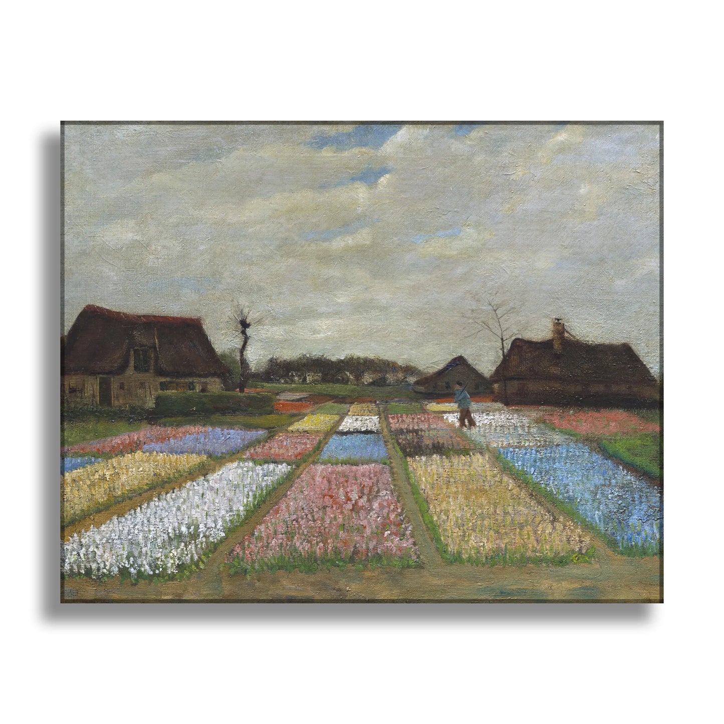 Flower Beds in Holland