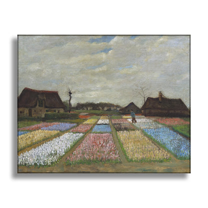 Flower Beds in Holland