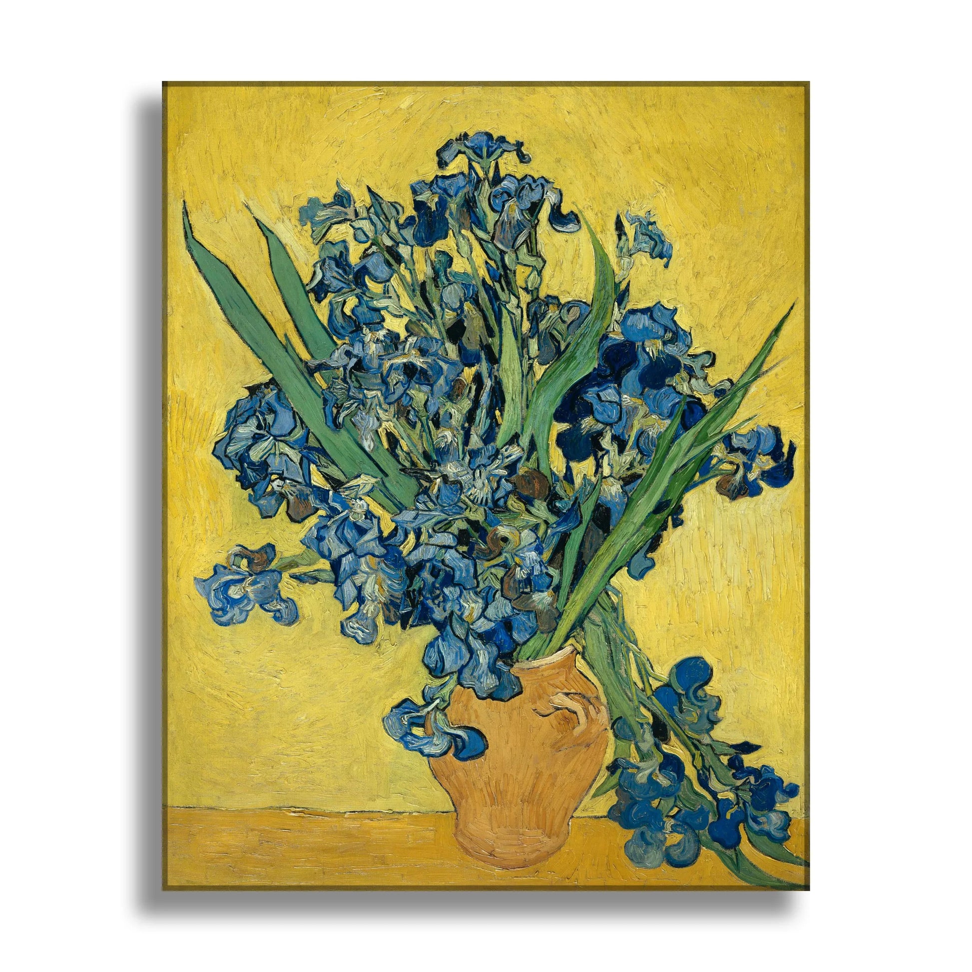 Van Gogh Irises