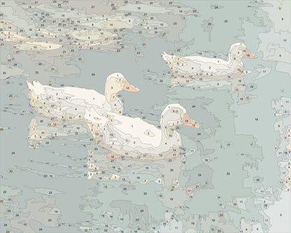 Ducks on Pond