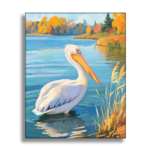 Pelican in the Cove