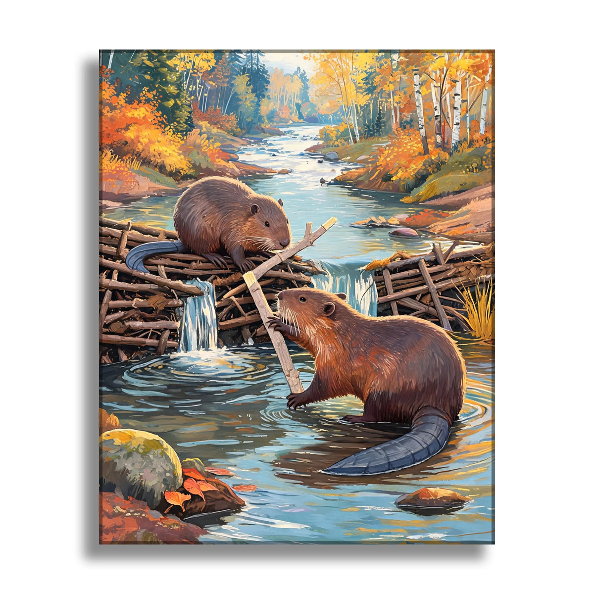 Beavers Building Dam