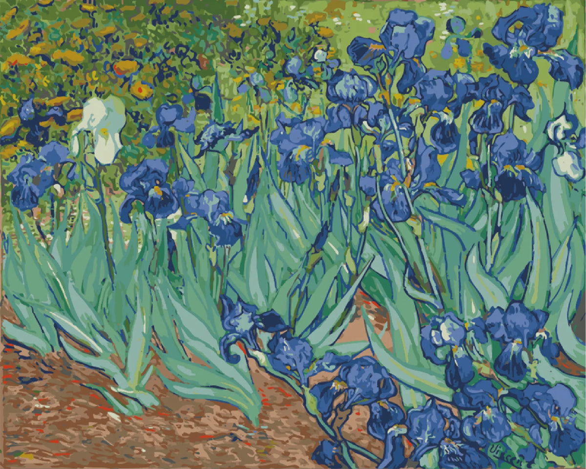 Irises Paint Numbers