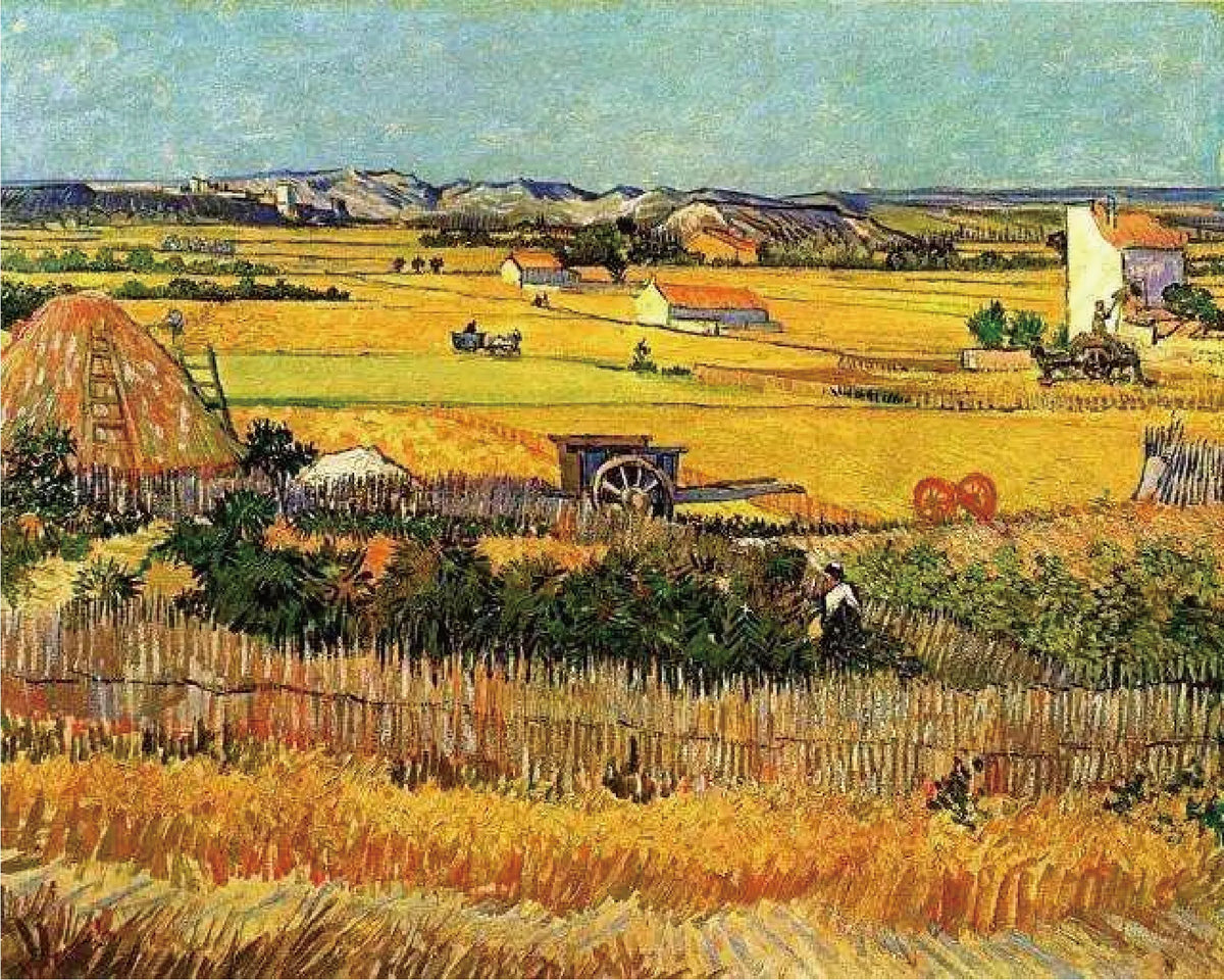Harvest Paint Numbers