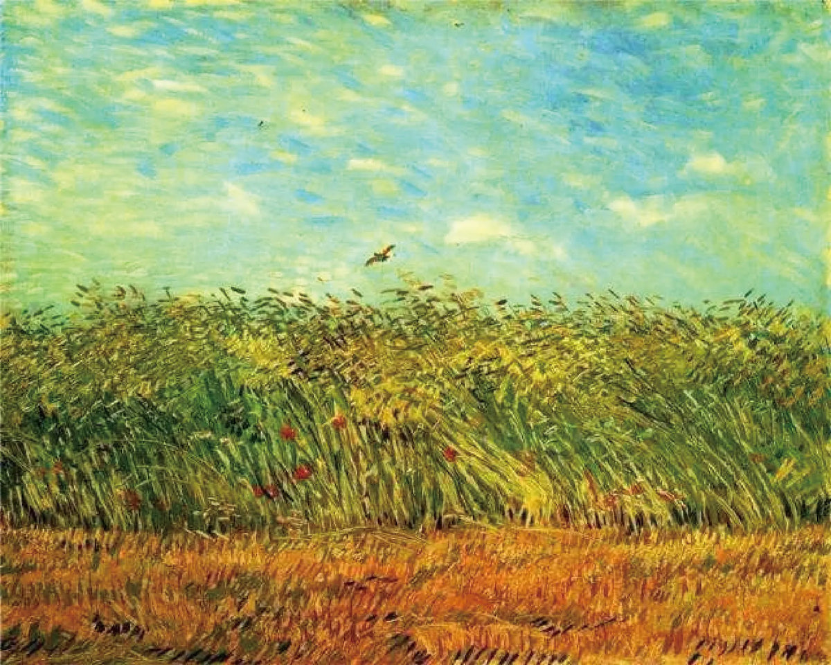 Wheatfield Lark