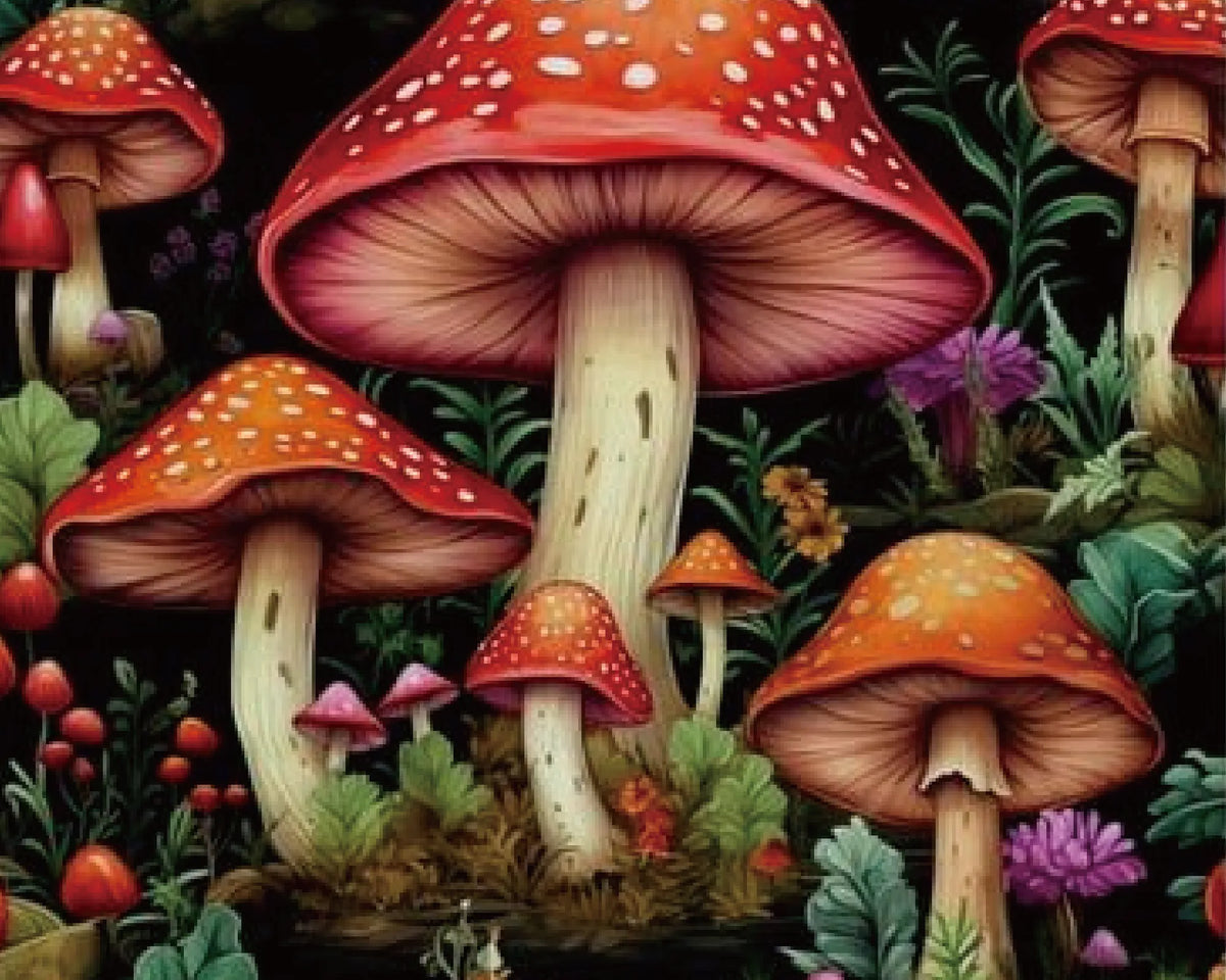 Mushroom Paint Numbers