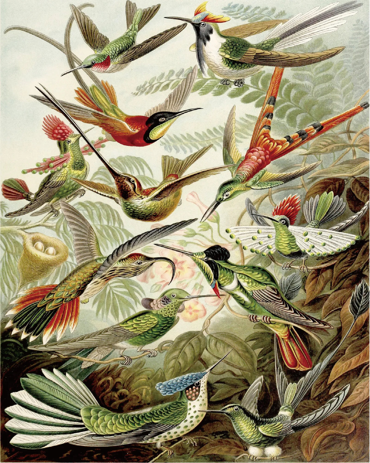 Paint numbers birds