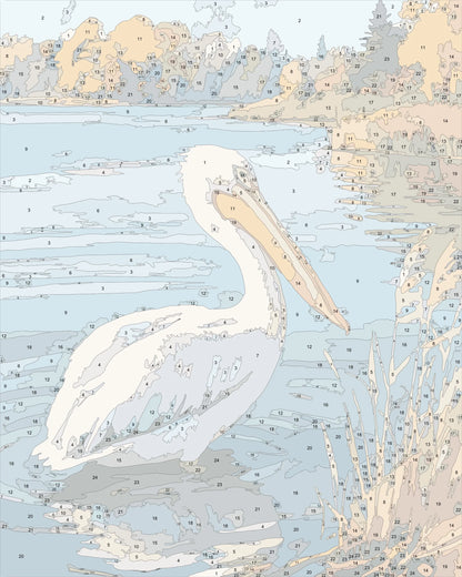 Pelican in the Cove
