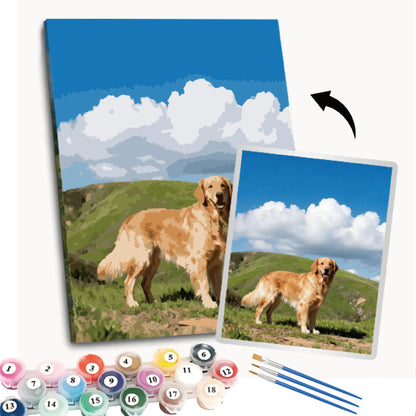 custom pet by numbers