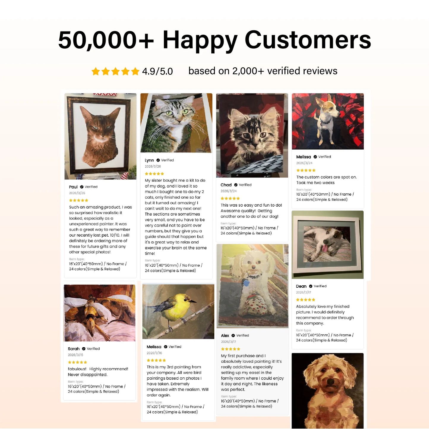 Custom Paint By Numbers - Personalized Pet Portraits