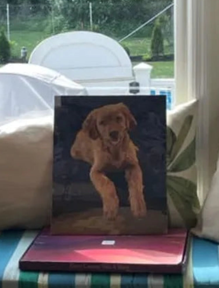 dog ugc